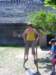 photo35_small.jpg