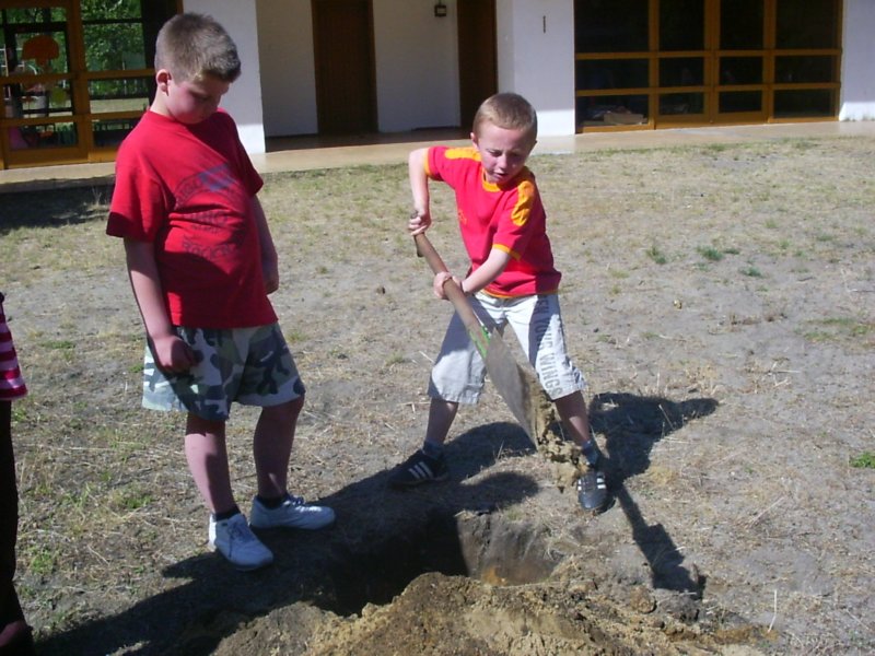 photo46.jpg