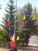 photo47_small.jpg