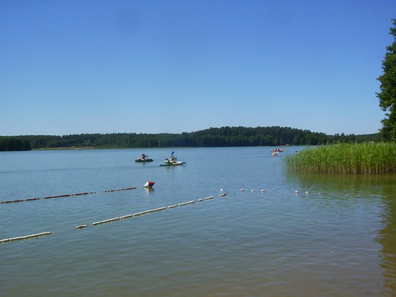 photo9.jpg